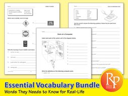 Essential Vocabulary {Bundle}
