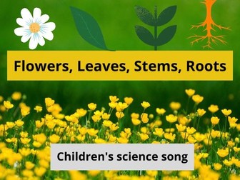 Flowers, Leaves, Stems, Roots Song