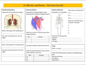 Muscles and Bones Revision Spread