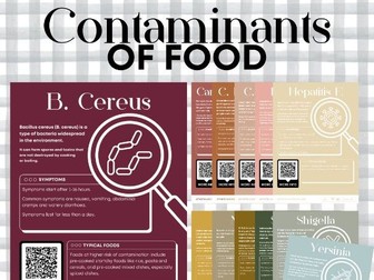 Contaminants of Food Posters Pack (Neutral Theme)