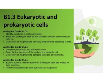 B1.3 Eukaryotic and prokaryotic cells