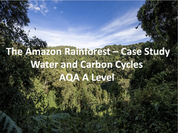 amazon rainforest case study a level geography