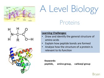 OCR A level Biology - Proteins