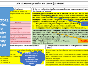 AQA Unit 20 The Control of Gene Expression revision sheet answers.