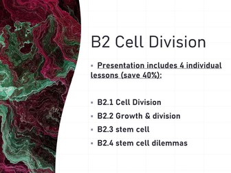 B2 Cell Division