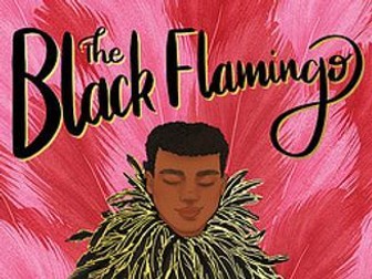 Black Flamingo guided reading booklet