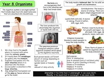 Year 8 Biology Revision pack