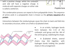 A Level Biology - Edexcel Topic 2 Notes | Teaching Resources