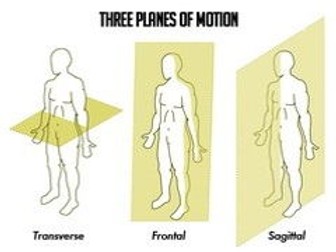 OCR GCSE PE (1-9) 1.3 Movement Analysis (Applied Anatomy & Physiology)