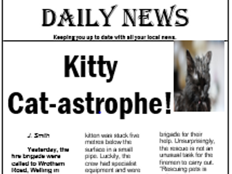 Model Text Newspaper Report Year 3 & 4