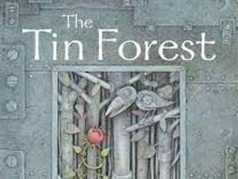 Year 3 Literacy Planning The Tin Forest