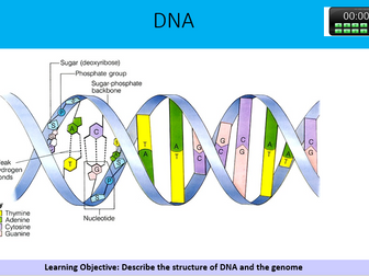 DNA and the genome