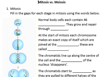 Mitosis Meiosis Summary Worksheets