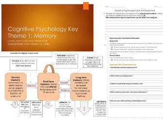 OCR A Level Psychology Cognitive Area Key Theme 1 Memory Bundle