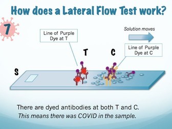 COVID testing - Lateral Flow Display
