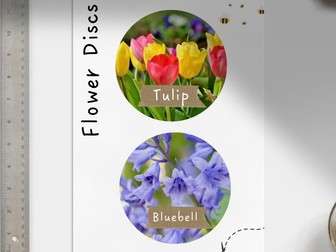 Flower Discs