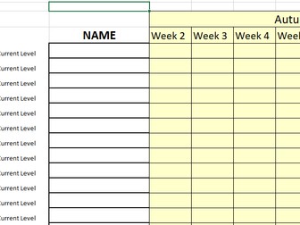 Data Tracking - Blank Formatted Spreadsheet