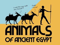 Animals of Ancient Egypt Resource Bundle