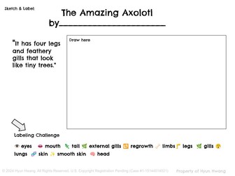 Grade 4 Informational Writing — Amazing Animals: Axolotl & Great White Shark (Module 2 Scaffolding)