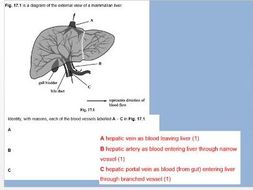 OCR A level Biology liver and kidneys revision (Module 5) | Teaching ...