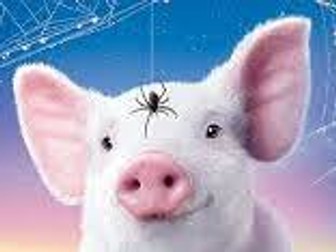 To Write a Recount Planning Template - Charlotte's Web