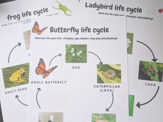 Interactive life cycle bundle