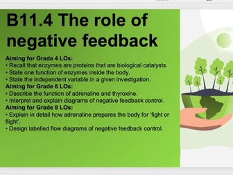 B11.4 The role of negative feedback