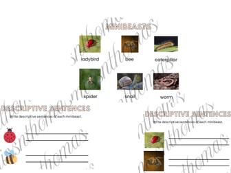 Minibeast descriptive sentences bundle