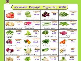 Vegetables chart in Tamil, English, Hindi