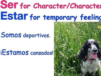 Ser for Character - Estar for Temporary Feelings