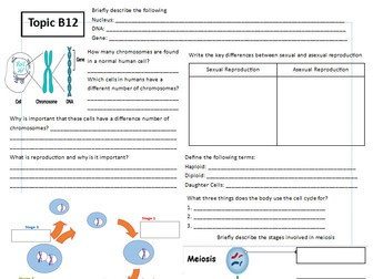 B12 Reproduction Worksheet/Powerpoint