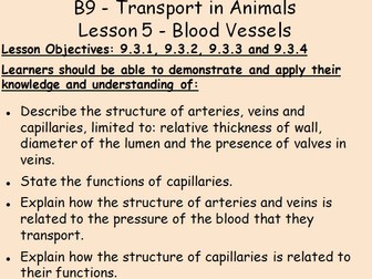 B9 Transport in Animals IGCSE Biology L5