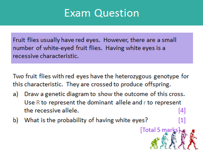 GCSE Genetic Inheritance | Teaching Resources