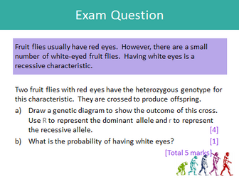 GCSE Genetic Inheritance
