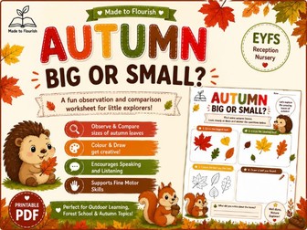 Autumn Big or Small EYFS Worksheet