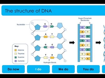 3 Lessons: DNA & Protein Synthesis
