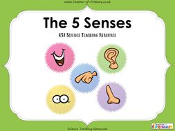 The 5 Senses - KS1 | Teaching Resources