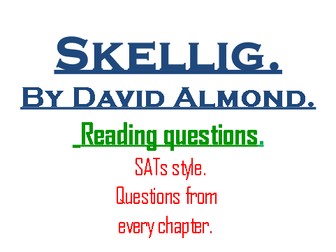 Skellig. Guided reading questions KS2 SATs style.