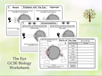 The Eye (Triple) - GCSE Biology Worksheets