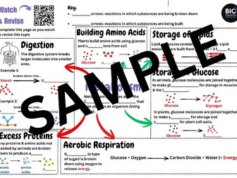 An overview of GCSE level metabolism