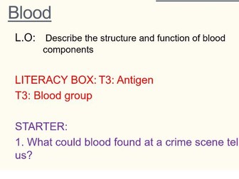 Activate 3 B3C3 Detection The Blood Lesson 4