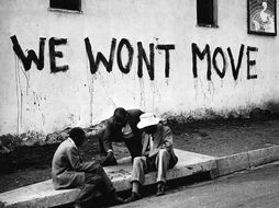 Sophiatown book picture