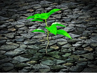 Toxic Masculinity Assembly