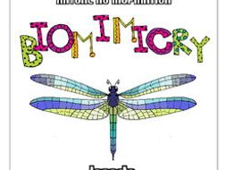STEM- Biomimicry for Young Children - Insects
