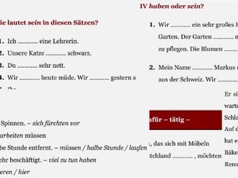 German Language haben / sein
