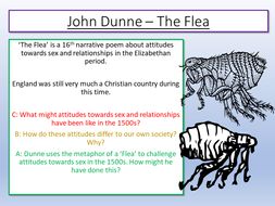 The Flea | Teaching Resources
