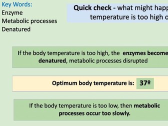 AQA GCSE Biology B5 Introduction to Homeostasis