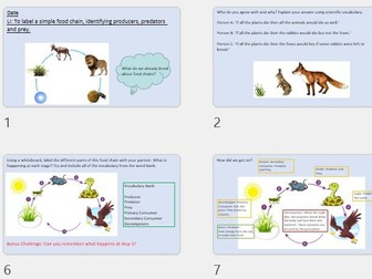 Food Chains LKS2 PPT