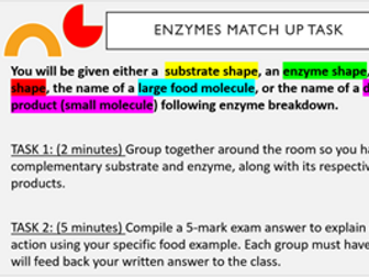 KS4 GCSE Enzymes and Digestion Powerpoint covering full topic (for CCEA exam board)