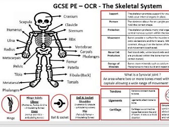 GCSE PE OCR Knowledge Organisers Paper 1